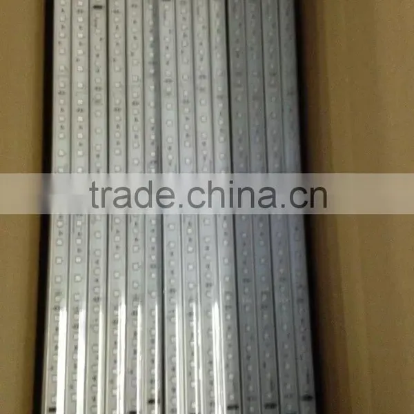 Factory Best Price Smd IP65 Waterproof 5M LED Light Strip 5050 LED Flexible Strip Light photo-6