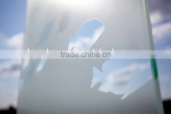 Frosted Glass Commercial Building Glass Cleaning Machine photo-4