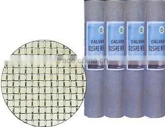 Galvanized Square Wire Mesh