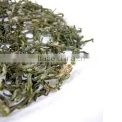 Organic Green Tea