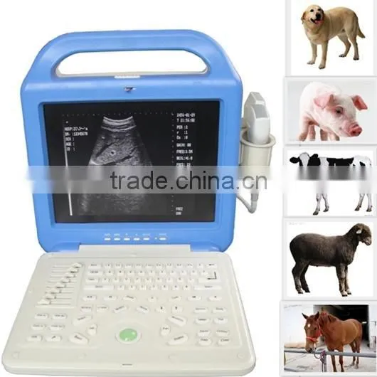 FM-9003L Portable Laptop Vet Ultrasound Scanner for Sale