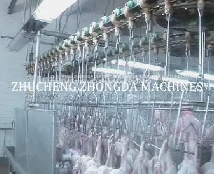 FULL SET OF CHICKEN SLAUGHTER MACHINE LINE FOR SLAUGHTERING HOUSE photo-3
