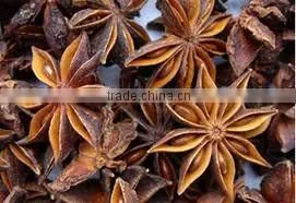 Whole Sale Star Aniseeds Frim Vietnam