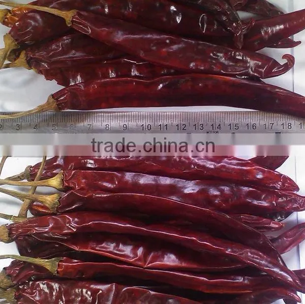 Chillies Sanam M/B Withstem photo-4
