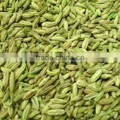 Best Quality Fennel Seeds at Best Price photo-3