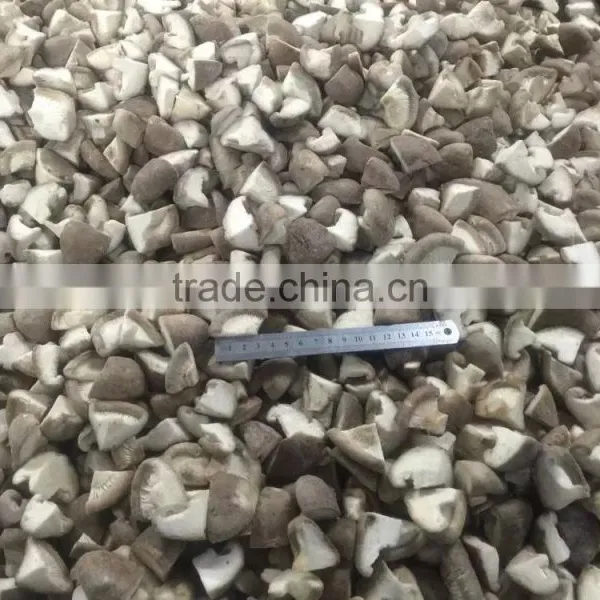 Frozen Shitake Mushroom photo-2