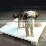 Dog Plastic Mat