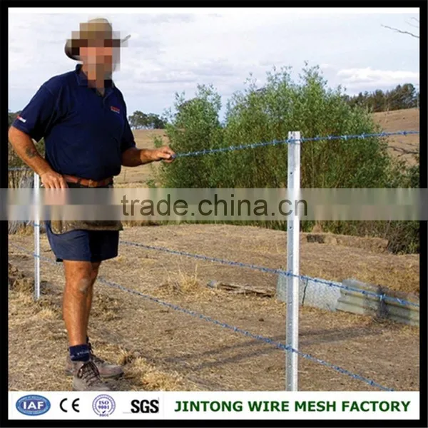 Arame Farpado Galvanizado Barbed Wire Fence photo-6