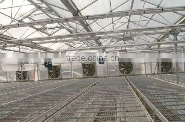 Poultry House With Shutter Ventilation Exhaust Fan Cooling Fan photo-6