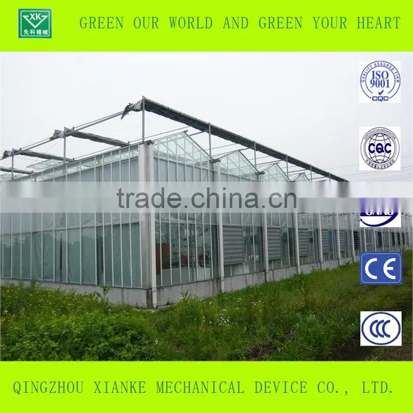 Agriculture Galvanized Steel Structure Greenhouse for Planting photo-2