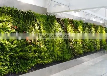 Waterproof Excellent Green Wall Factory Artificial Green Plant photo-5