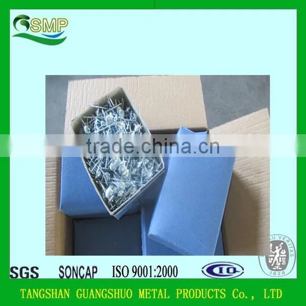 Umbrella Head Galvanized Roofing Nails With Rubber Gasket photo-5