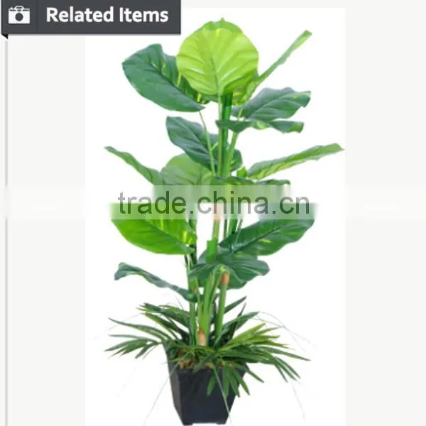Artificial Indoor Bonsai Tree Bamboo Tree Ficus Houseplants for Hall Decoration photo-6
