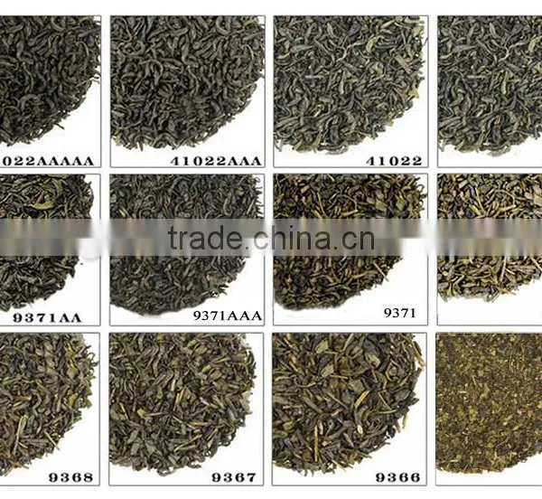 Low Cost & Competitive Chunmee Green Tea, Grade 1 (Article No. 9371AAA) photo-2