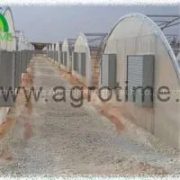Vegetable Plastic Greenhouse