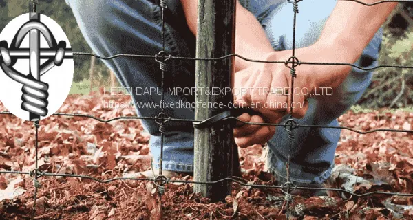 High Toughness Fixed Knot Cattle Woven Wire Fence photo-4