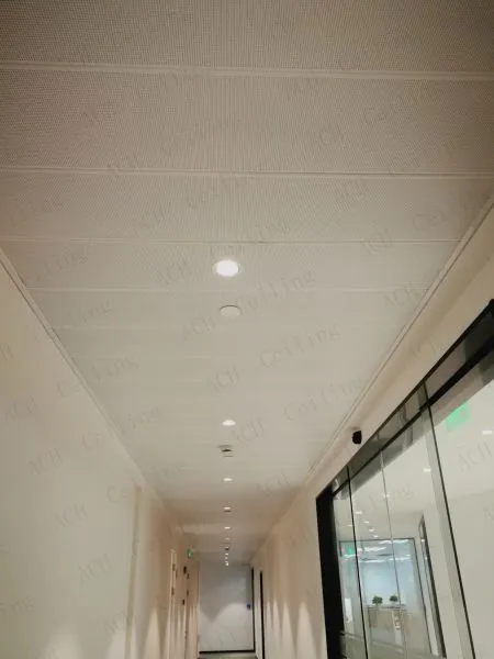 Fiberglass Acoustic Ceiling photo-4