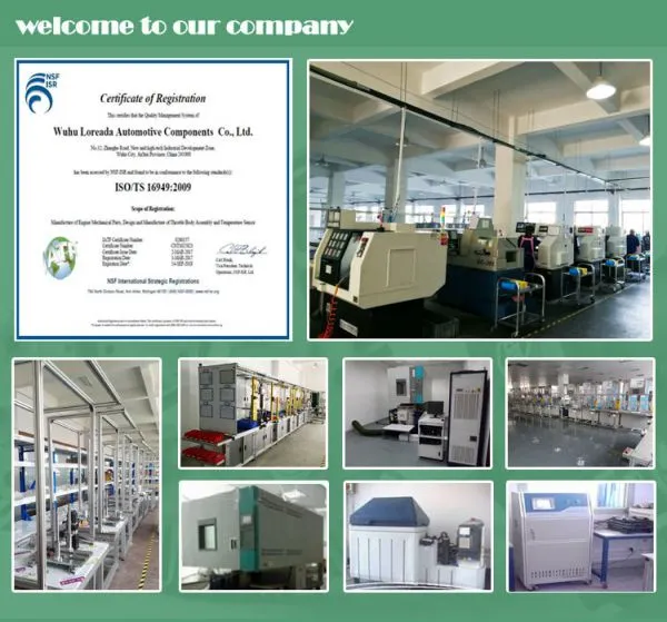 Loreada Auto Parts Co., Ltd company overview - view 2