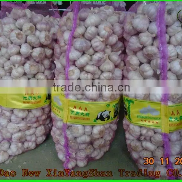 Hot Sale Big Yellow Onion Packing In Mesh Bag Sale In Market Price photo-6