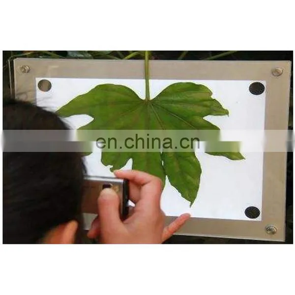 High Quality Portable Intelligent Leaf Area Meter Price photo-3