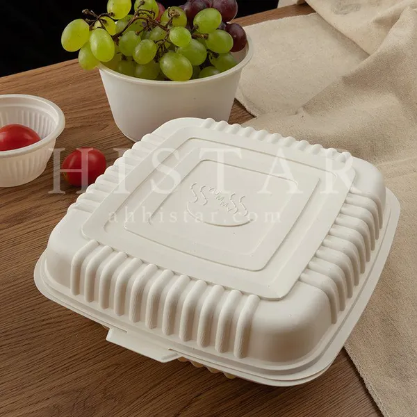 Corn Starch Lunch Boxes Disposable Biodegradable Takeaway Lunch Boxes photo-4