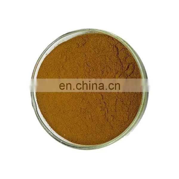 Free Sample Oraginc Herbal Echinacea Extract Powder photo-3