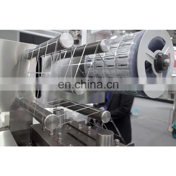 Hot Selling Small Body Lotion Aluminum Foil Blister Packaging Machines photo-5