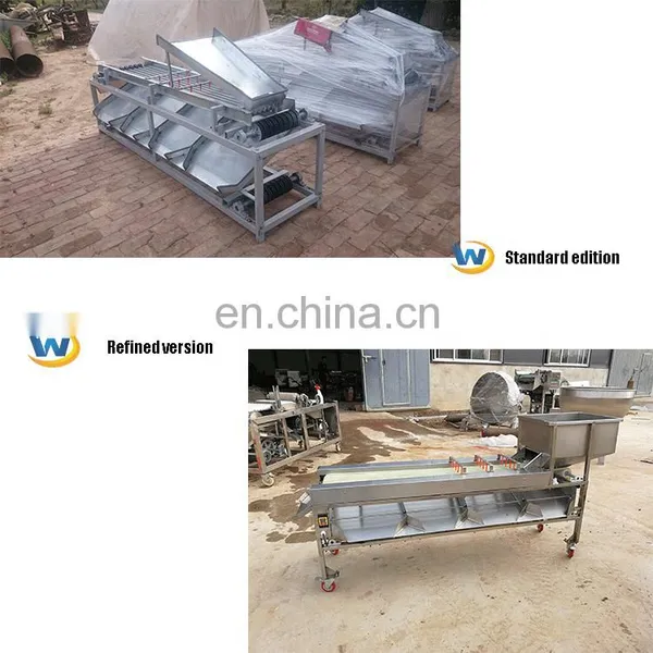Fruit and Vegetable Sorting and Grading Machine,products Sizer,fruit Sorting and Grading Machine. photo-4