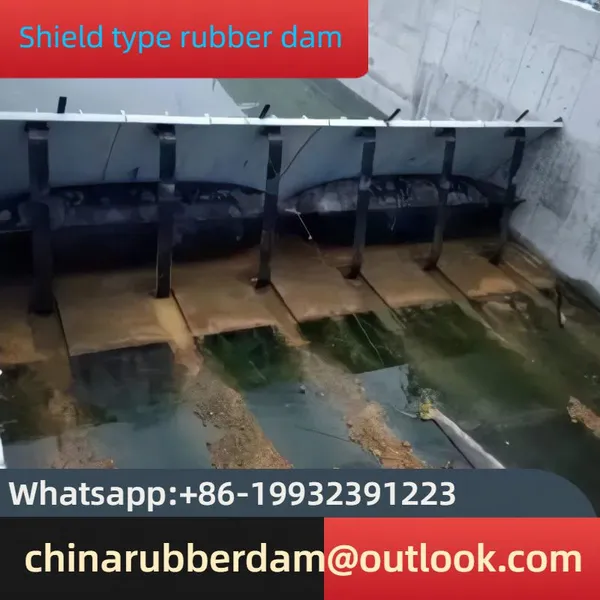 New Rubber Dam, Garden Style Dam, Simple Dam, Automatic Lifting Rolling Dam, Spot Gas Shield Dam photo-3
