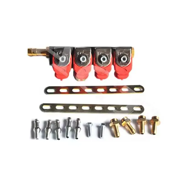 ACT Riel De Inyector Gnv Rampa De Inyection Gnc Rail Autogas Conversion Kit 4 Cylinders Cng Injector Rail Ngv Natural Gas