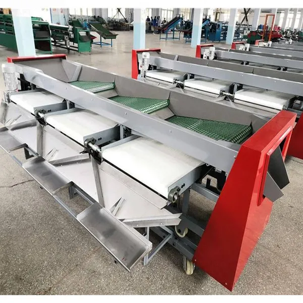 Fruit Sorting Machine Can Use for Pear/ Tomato/ Cherry/ Apple/ Orange/ Lemon/ Mango photo-4