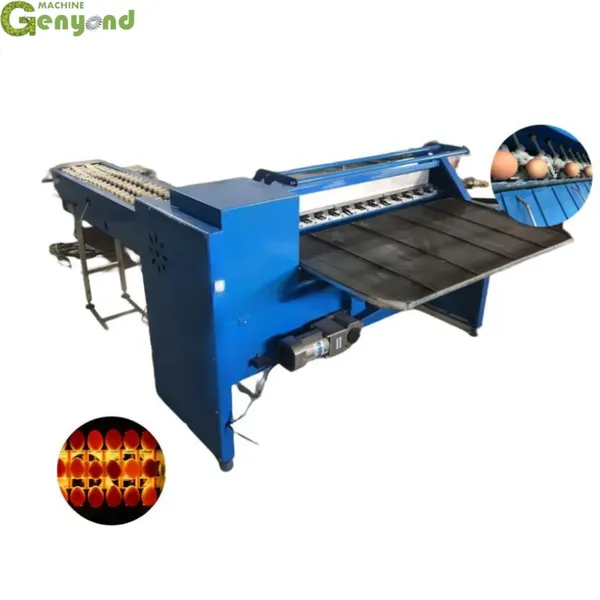 Automatic Egg Grading Machine Egg Grader Automatic Chicken Egg Sorting Machine