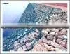 High Quanlity Gabion Box Exporter