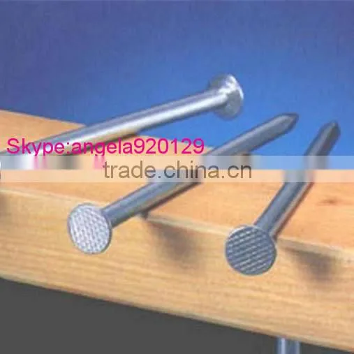 Common Nail Iron Nail Factory Common Nail Sizes photo-2