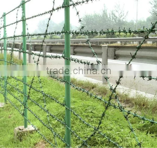 PVC Coated Barbed Wire photo-2