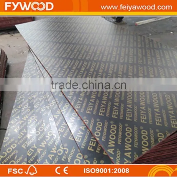 Export Maldives Film Faced Plywood photo-6