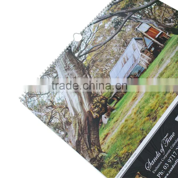 Hot Sale Paper Monthly Large Wall Calendar photo-4