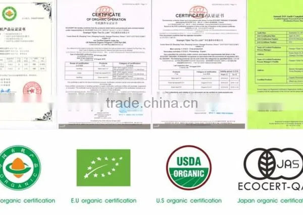Wholesale China Famous Organic Green Tea photo-6