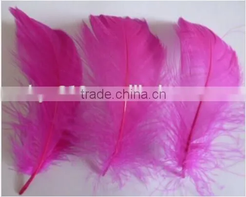 Natural Goose Feather Floating 10-15cm photo-5