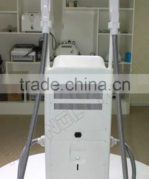 Vertical SHR IPL Permanent Laser Hair Remover 3000W Raynol SHR Laser photo-3