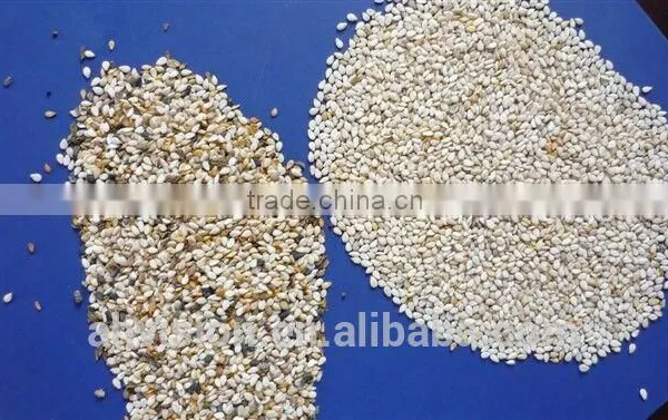 RGB Background Ccd Sensor White Sesame Color Sorter photo-4
