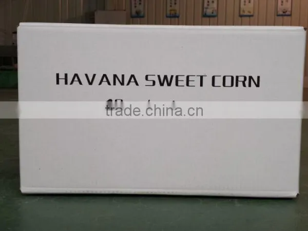 Sweet Corn in Vacuumed Pack photo-3