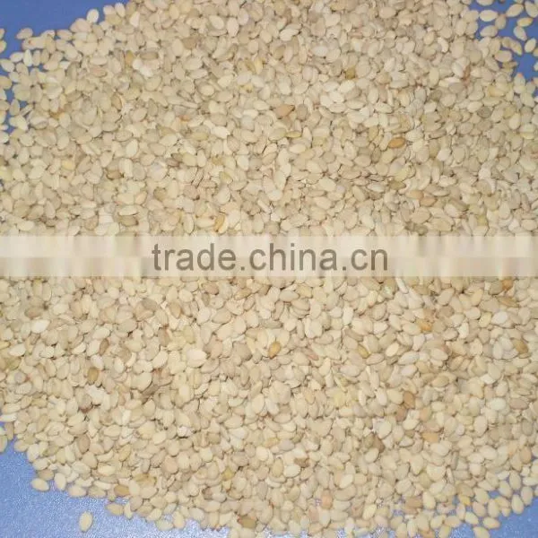 Sesame