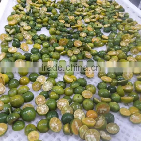 Calamansi Powder With High Quality and Cheap Price photo-2