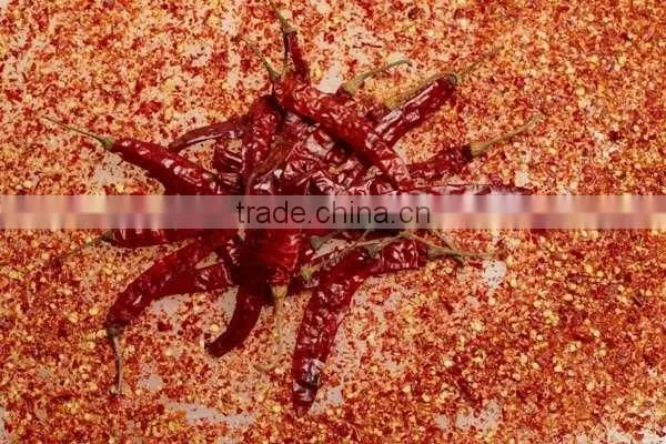 Red Dry Chilli photo-4
