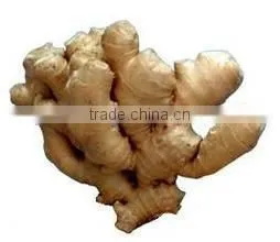 Big Size Air-Dried Ginger Pack in Pvc Carton for the UK photo-3