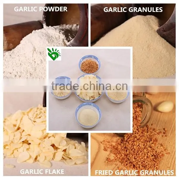 Manufacturer Provides Natural Garlic Dried (Garlic Granules) photo-2