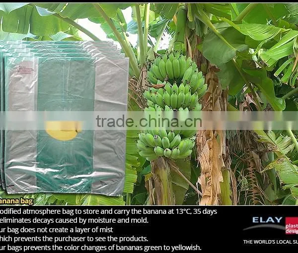 Pineapple Bag photo-5