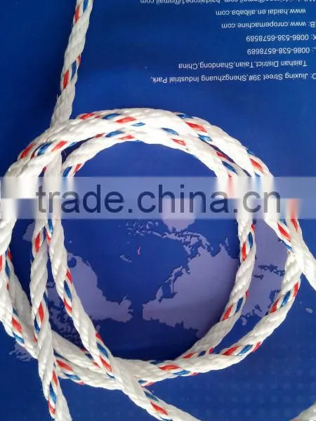 Supplier Danline Rope pp Material in Stock photo-3