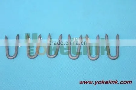 Galvanized Rolled Point U Staple Nail/ U Type Nail photo-2